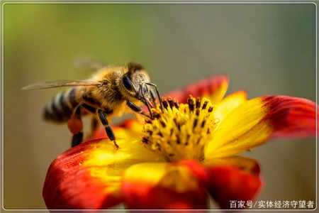 50岁的人在农村搞养殖，养什么投资小、能赚钱、还比较稳妥？(农村适合养殖什么投资见效快)